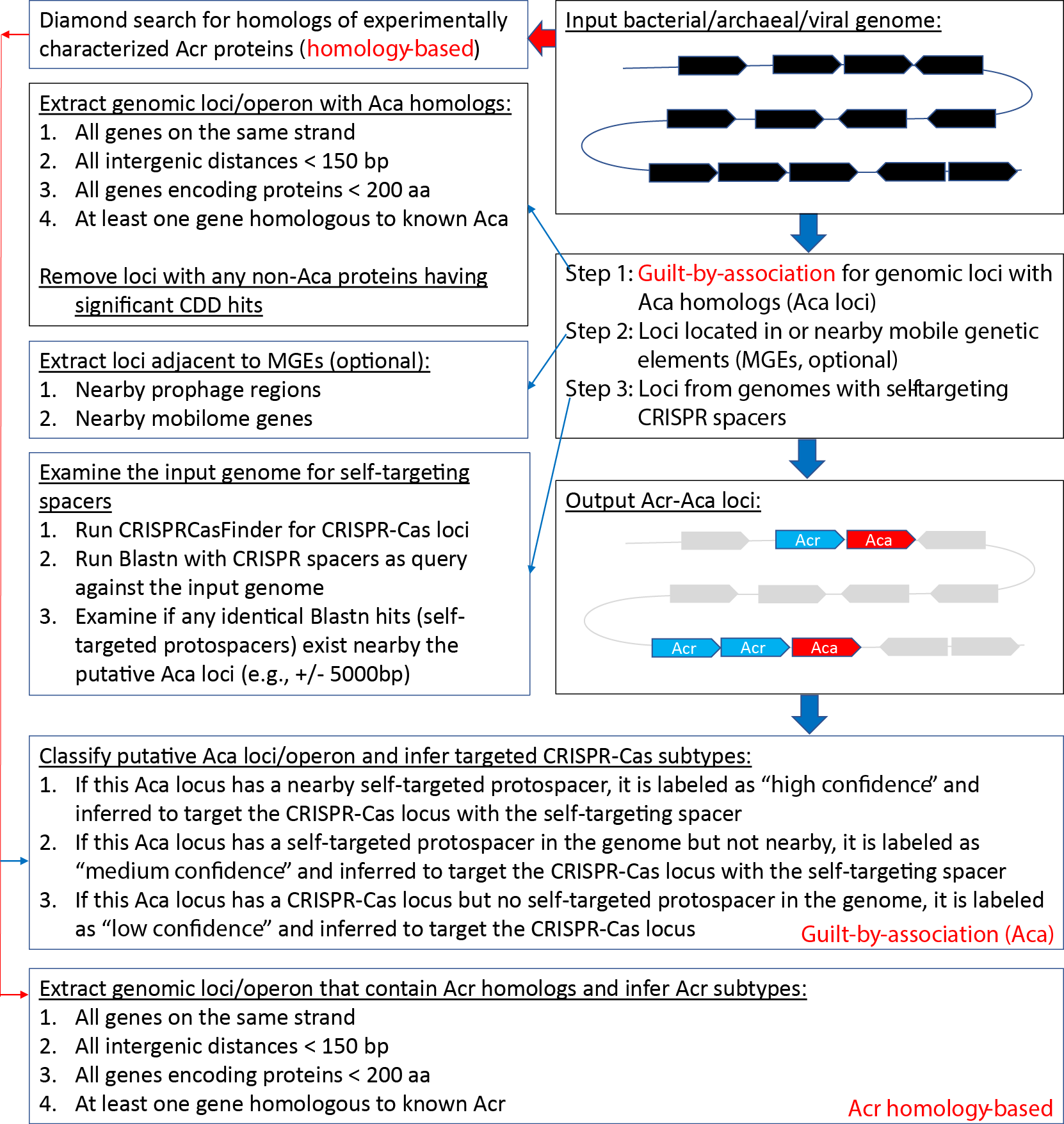 anti-crispr-pipline