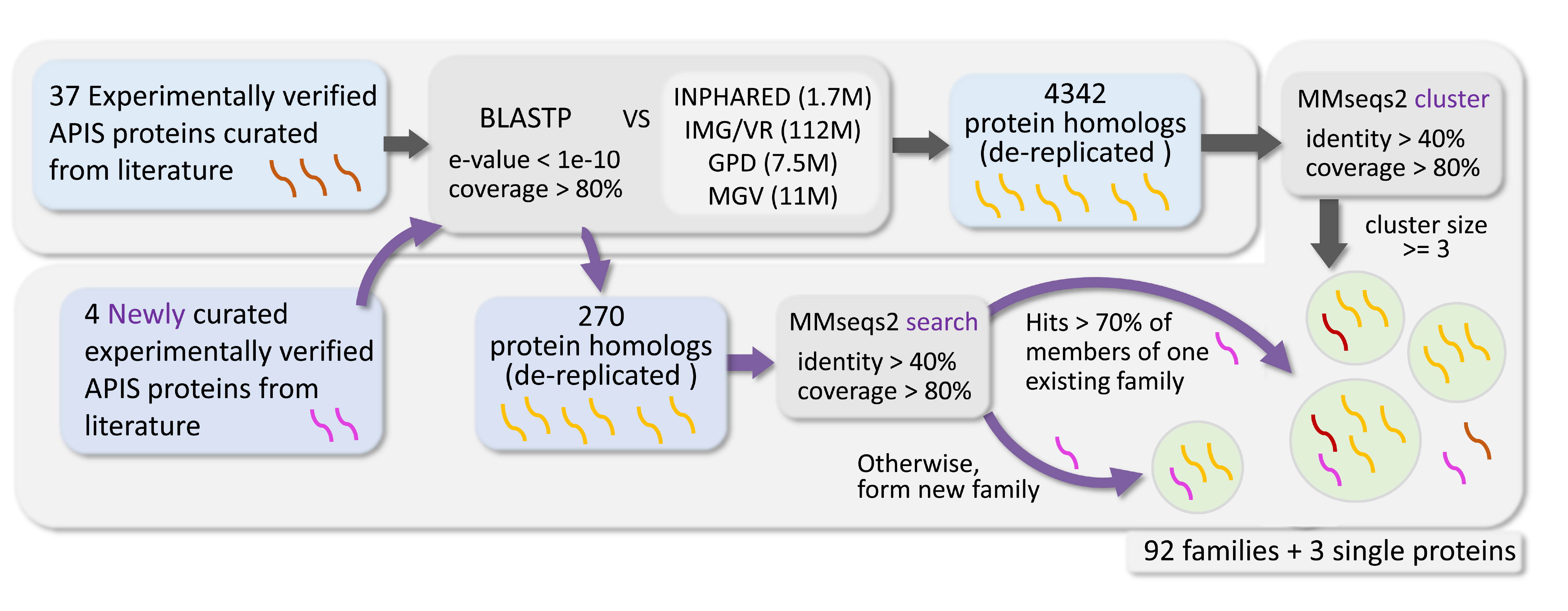 dbAPIS Workflow