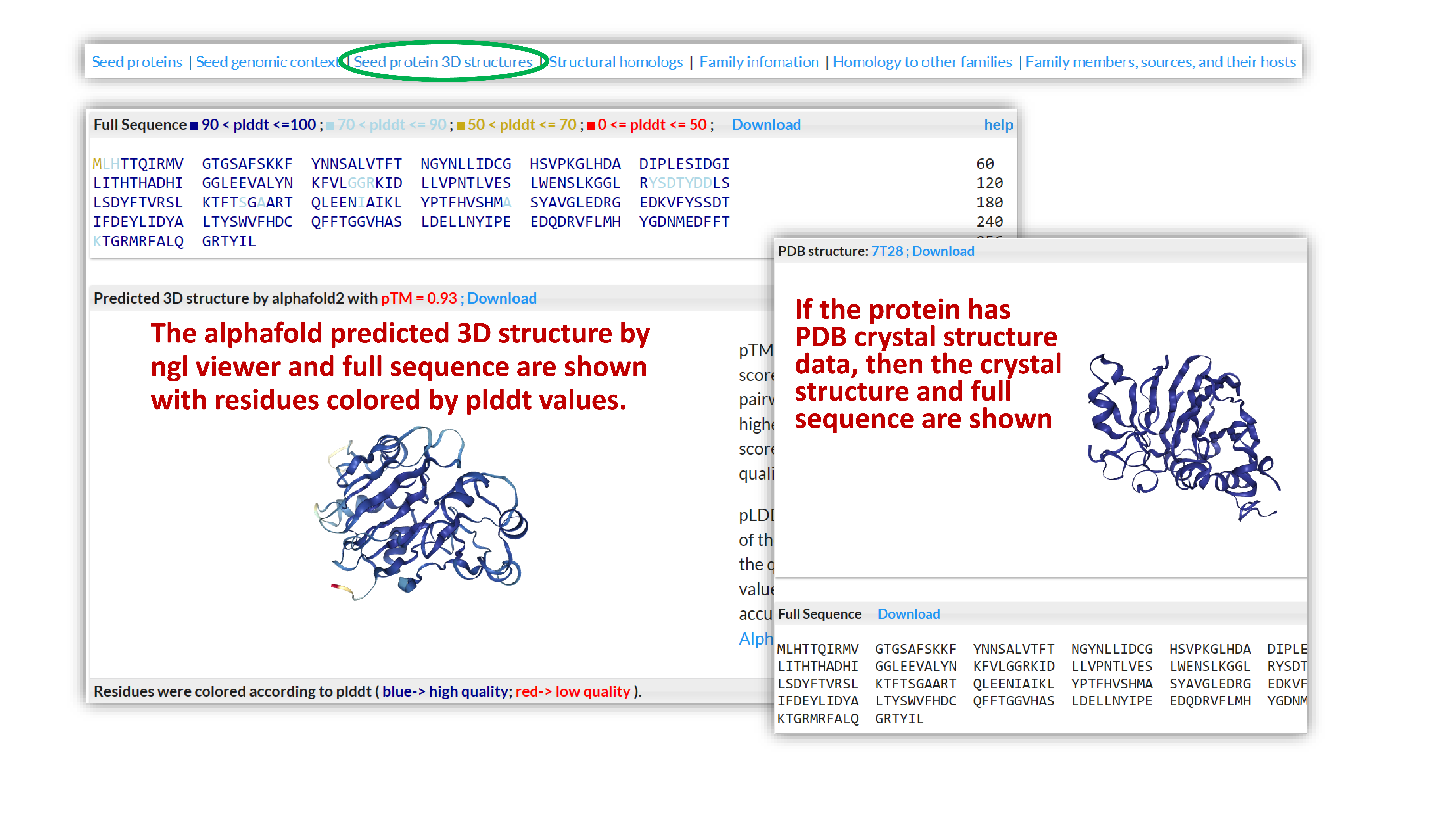 Seed protein 3D structure