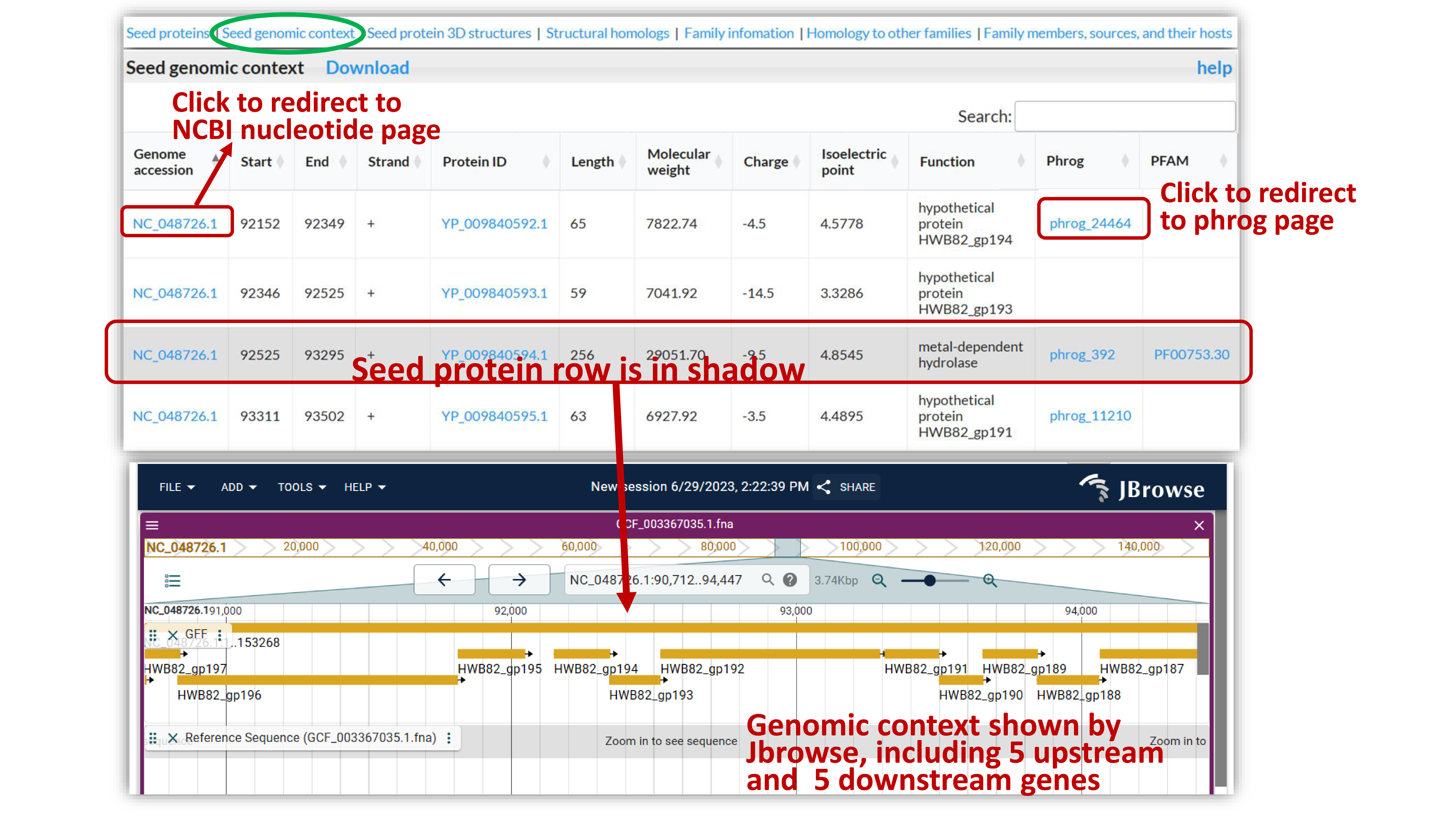 Seed protein genomic context