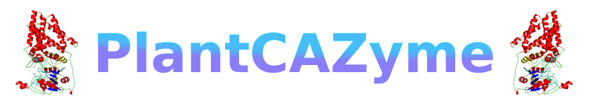 PlantCAZyme